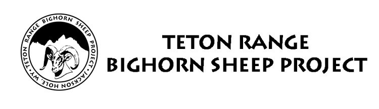 Teton Bighorn Sheep Project