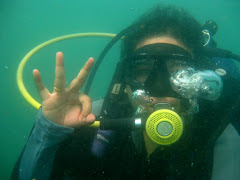 Dive @ Bali (2009)