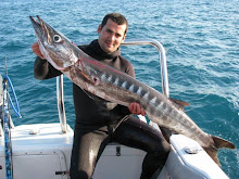 Barracuda Gigante