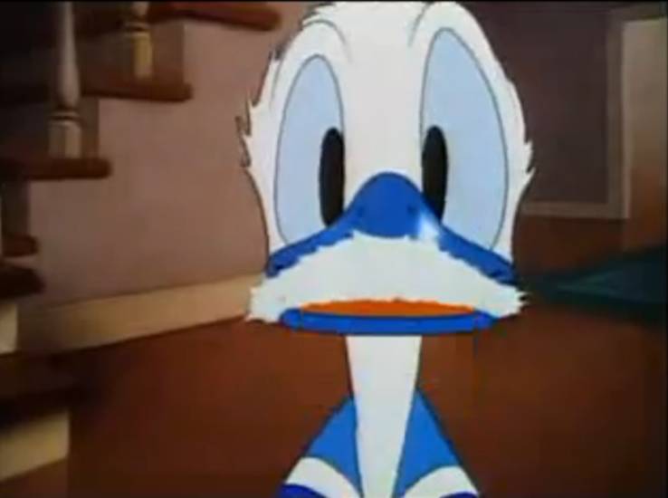 download donald in cold shadow