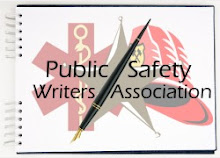 PUBLIC SAFETY WRITER ASSOC