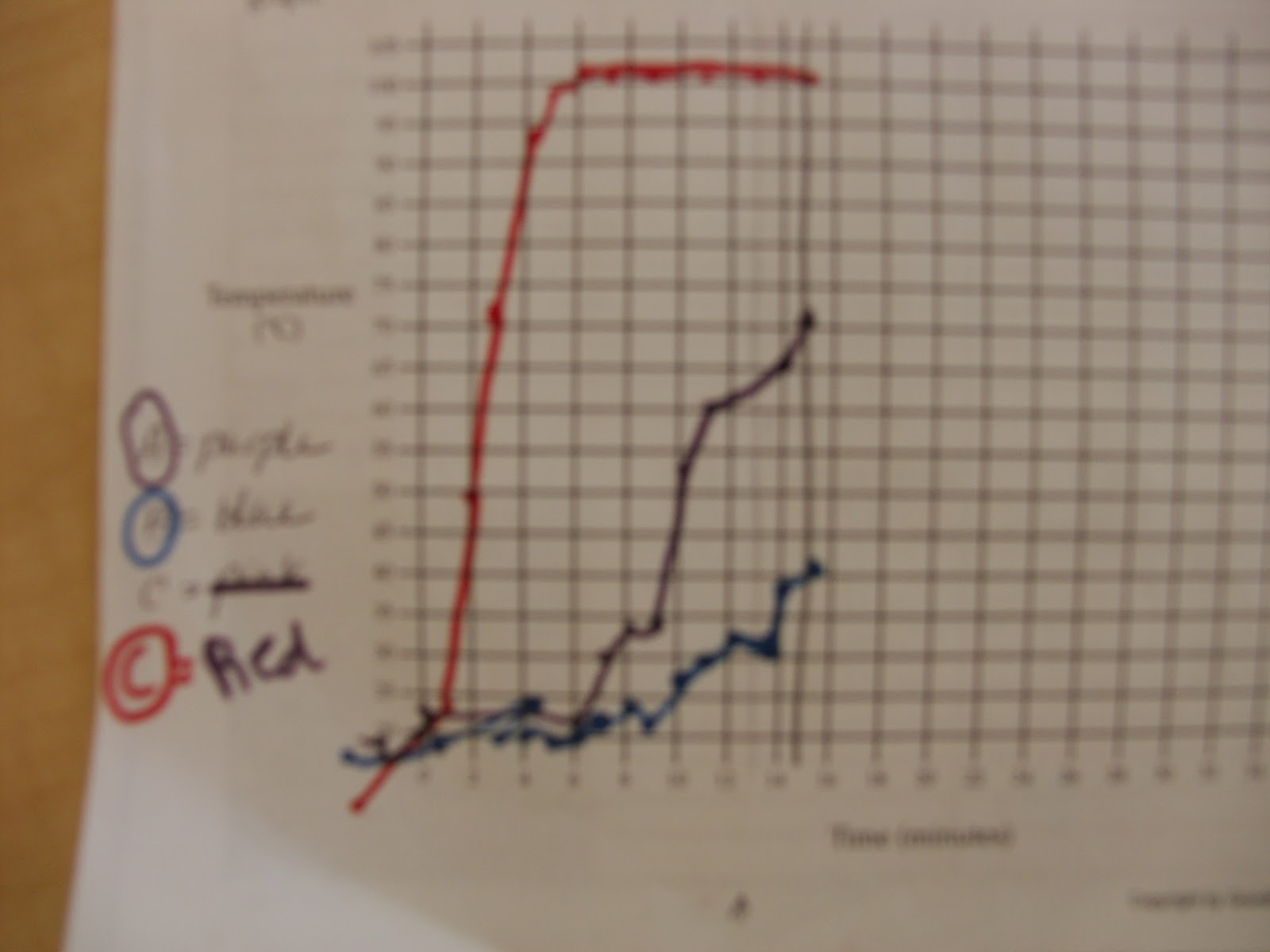 SHS Food Science Potato Lab