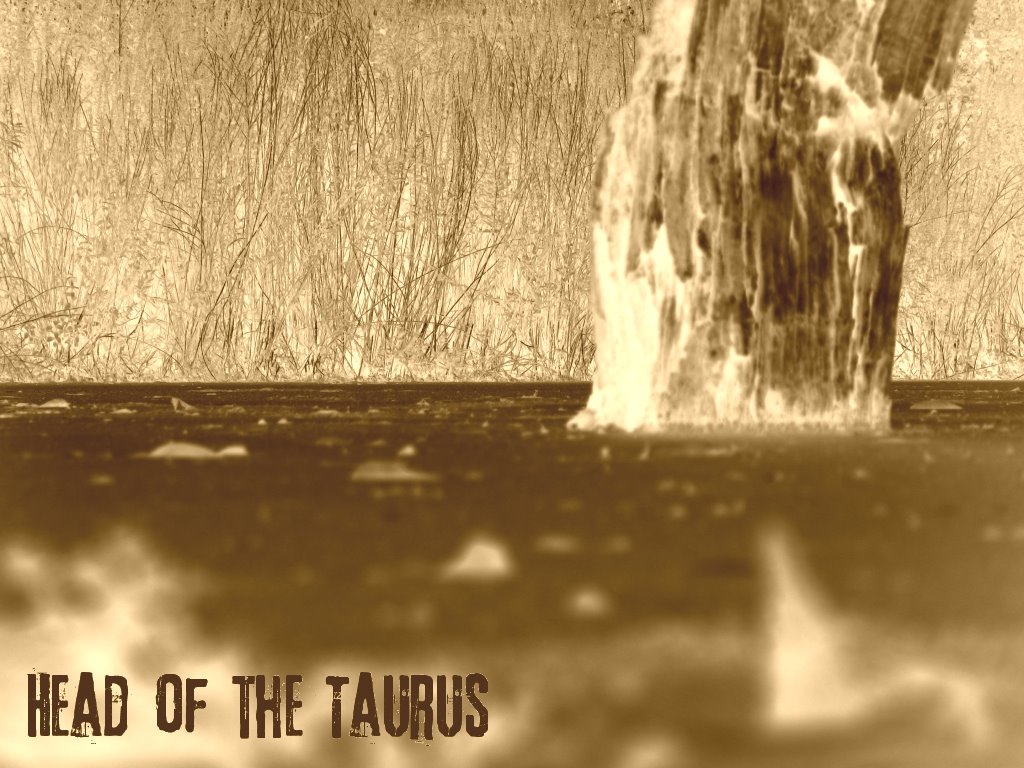 Head of the Taurus