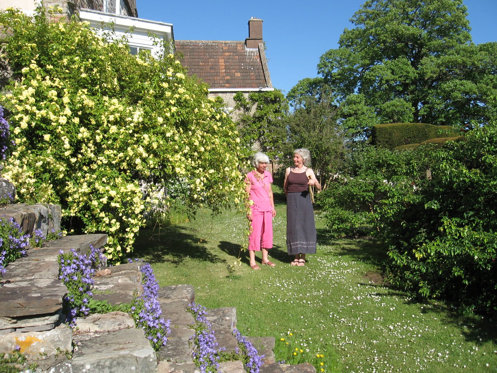 Court Bed and Breakfast