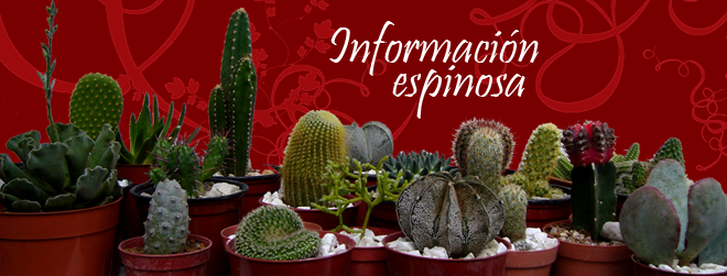 información
