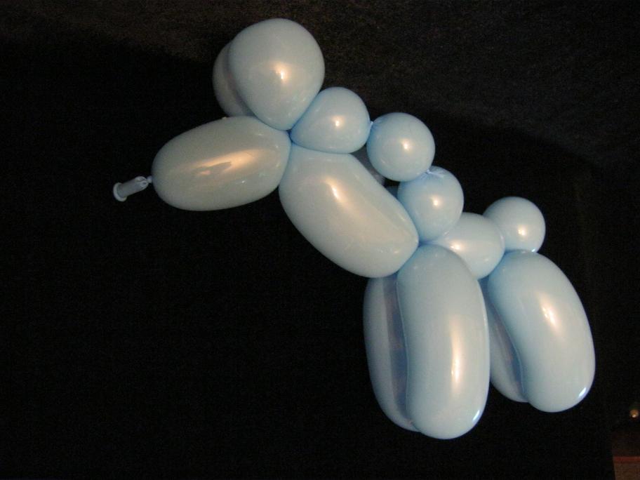 Balloon Animals with one Balloon Balloon Horse One 260Q