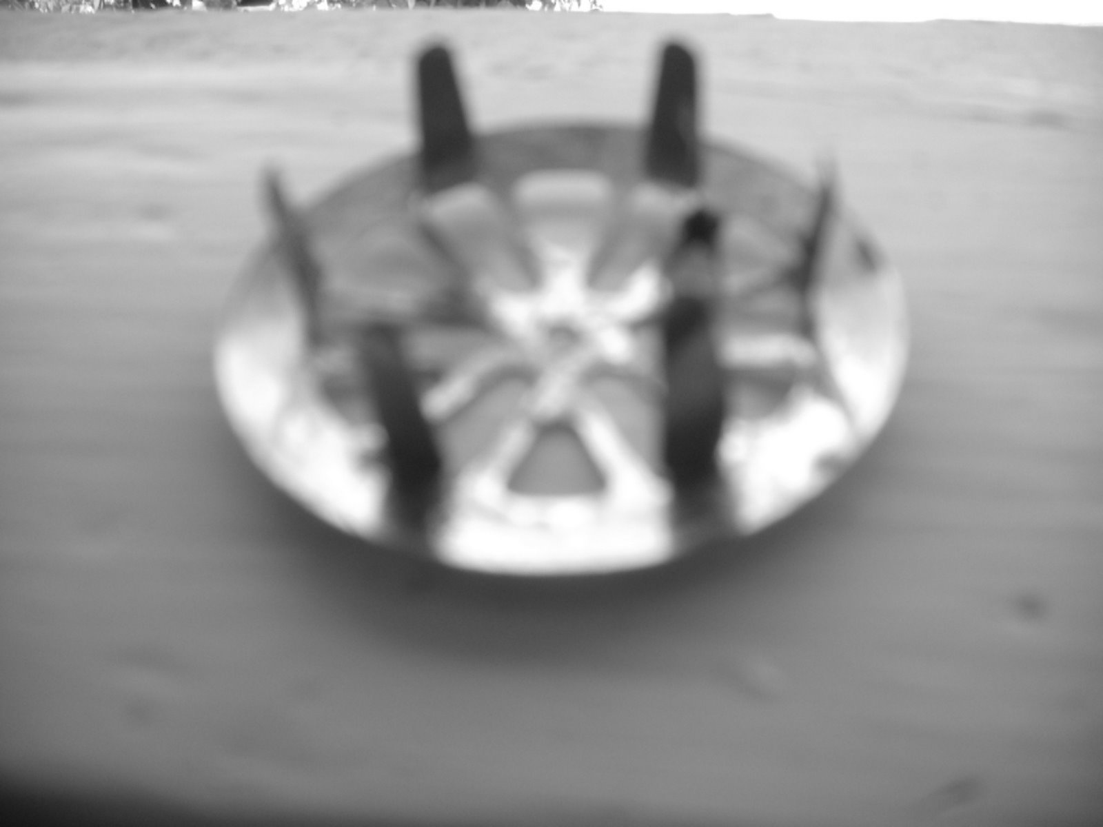 [DSCN0780.JPG]