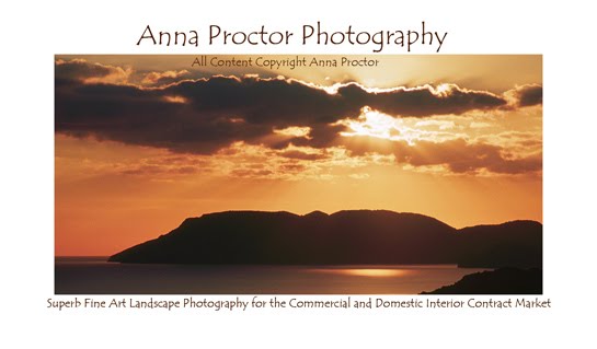 Anna Proctor Photography