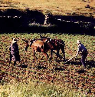 De todos los días: Parábolas que ocultan y revelan