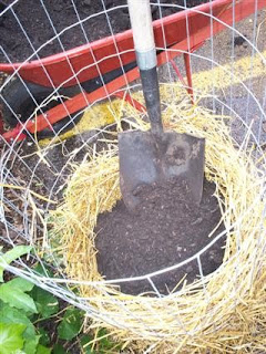 Rellenar de compost y paja