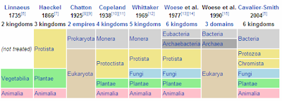 biology organisms kingdom classification domains domain phylum eukarya bacteria three wikipedia archaea class introduction taken taxonomic