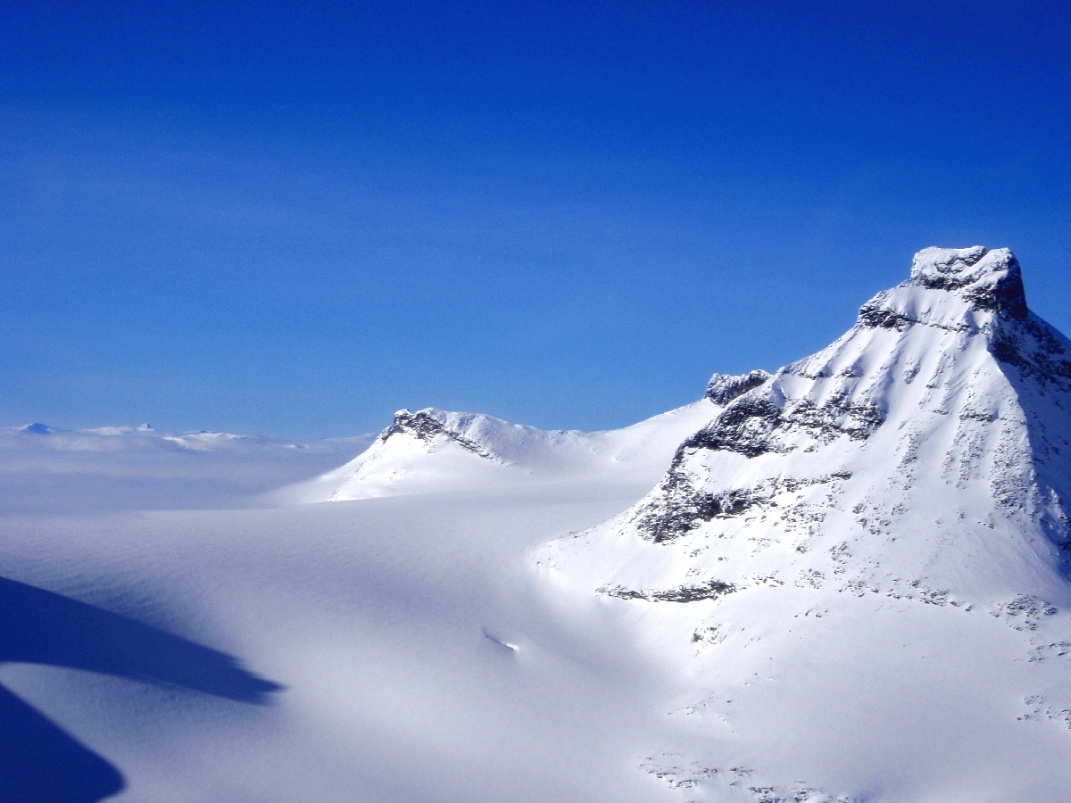 [2009-03-11_64.jpg]