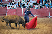 GALERIA, FAENA FERIA DEL TORO Y EL CABALLO 2010 DE BADAJOZ