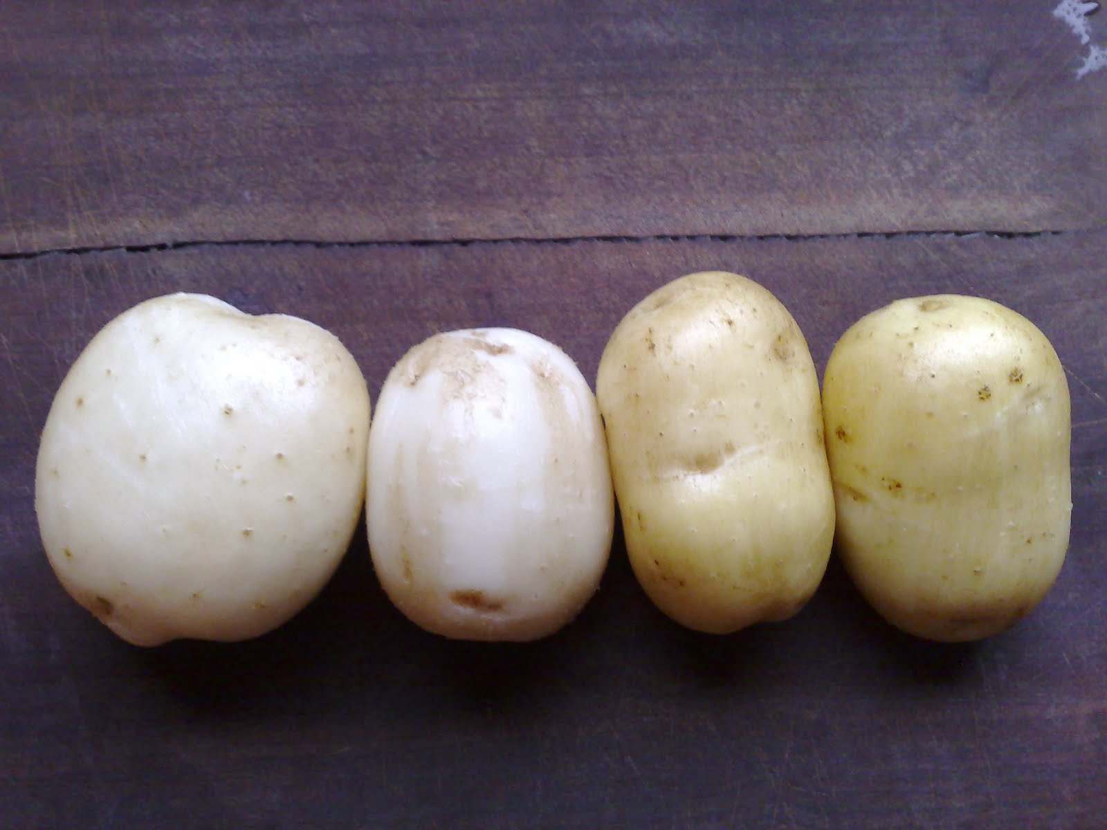 Karpy's Organic Veggie Garden Potatoes Galore!