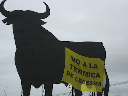 Toros antitérmicos