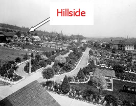 Hillside 1920's