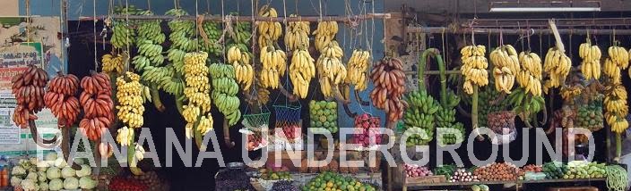 Banana Underground