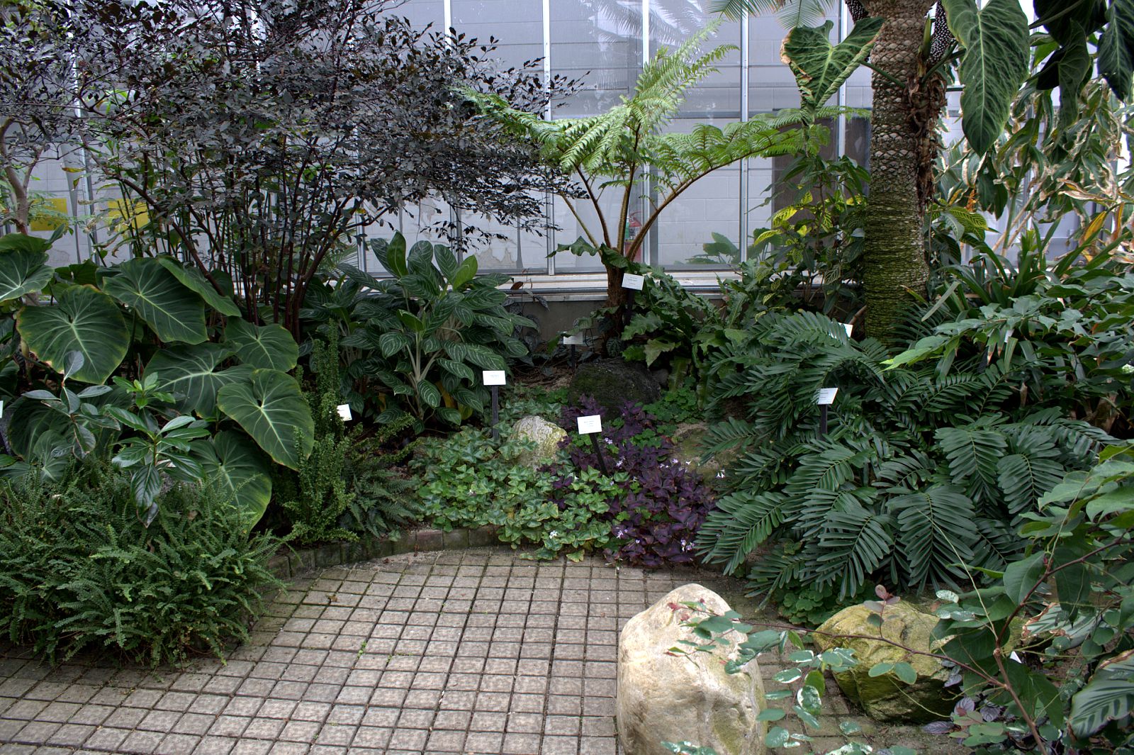 My Stop on the Conservatory World Tour University of Illinois Plant