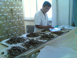 Viagem à China - The Huguost Hospital of Chinese Medicine