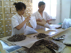 Viagem à China - The Huguost Hospital of Chinese Medicine