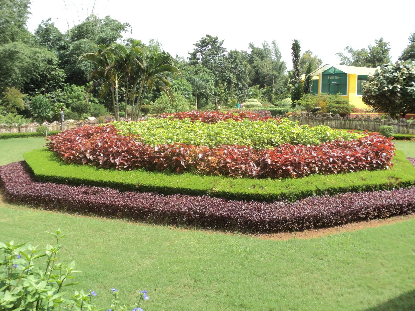 Dipin Ghosh Nilambur Ever Green Nilambur