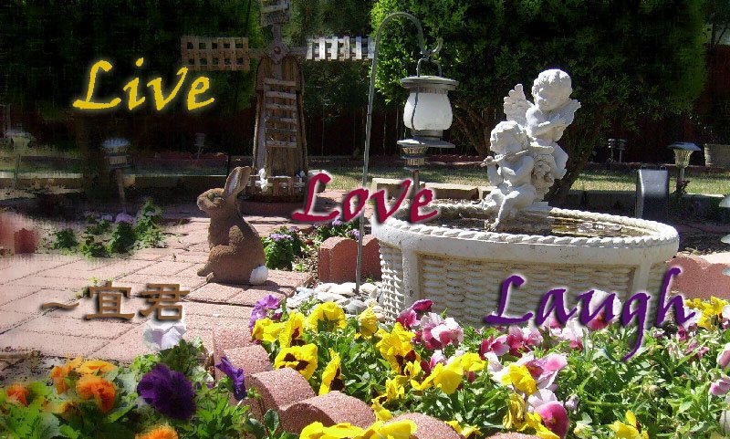 Live Love Laugh