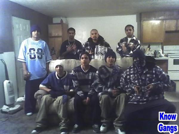 Thrill Fiction The Walking Dead 104 Vatos