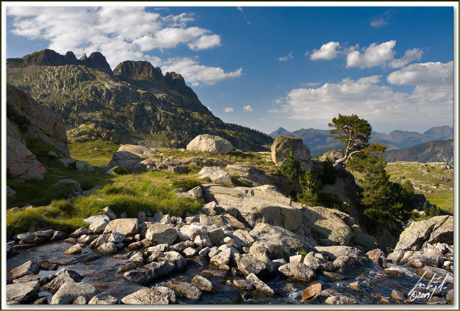 [Colomers+(3).jpg]