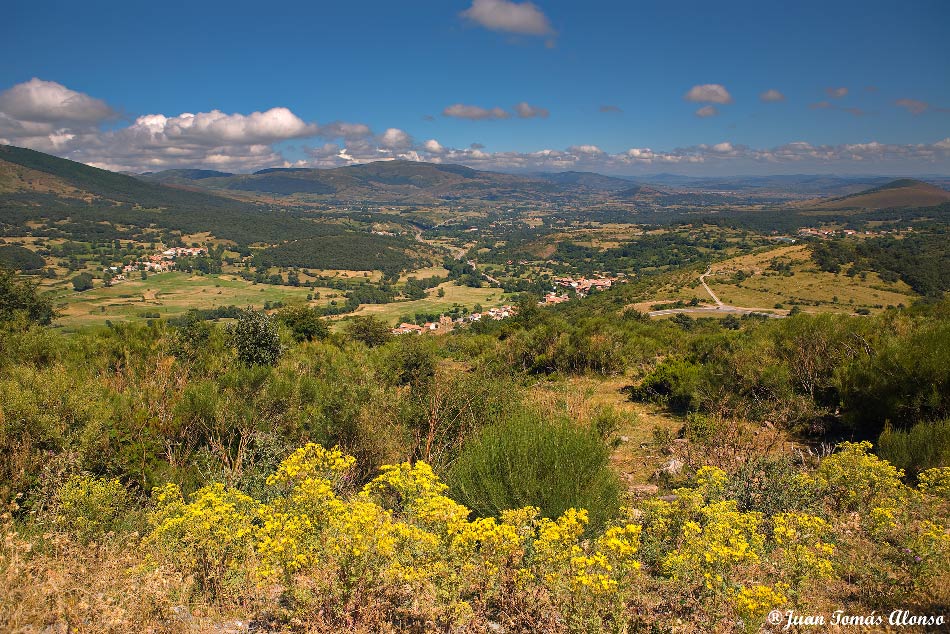 EL APRENDIZ DE FOTÓGRAFO ALTO CAMPOO
