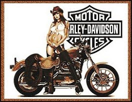 The Harley Davidson Motorcycles
