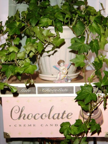 Ivy & Chocolate!