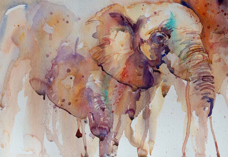 Ink watercolor cat nude fish Jackie ashe gloryhole
