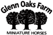 Glenn Oaks Miniature Horse Farm