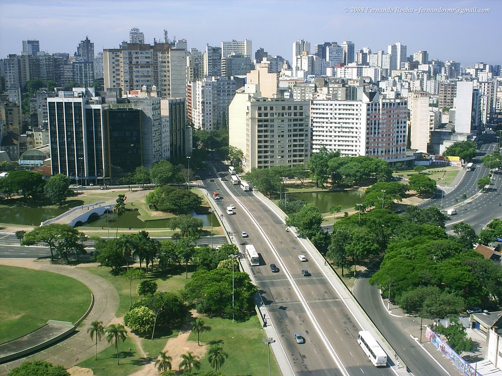 Dona de Chico ganha colch o novo e caminha para o c o que viralizou na web
