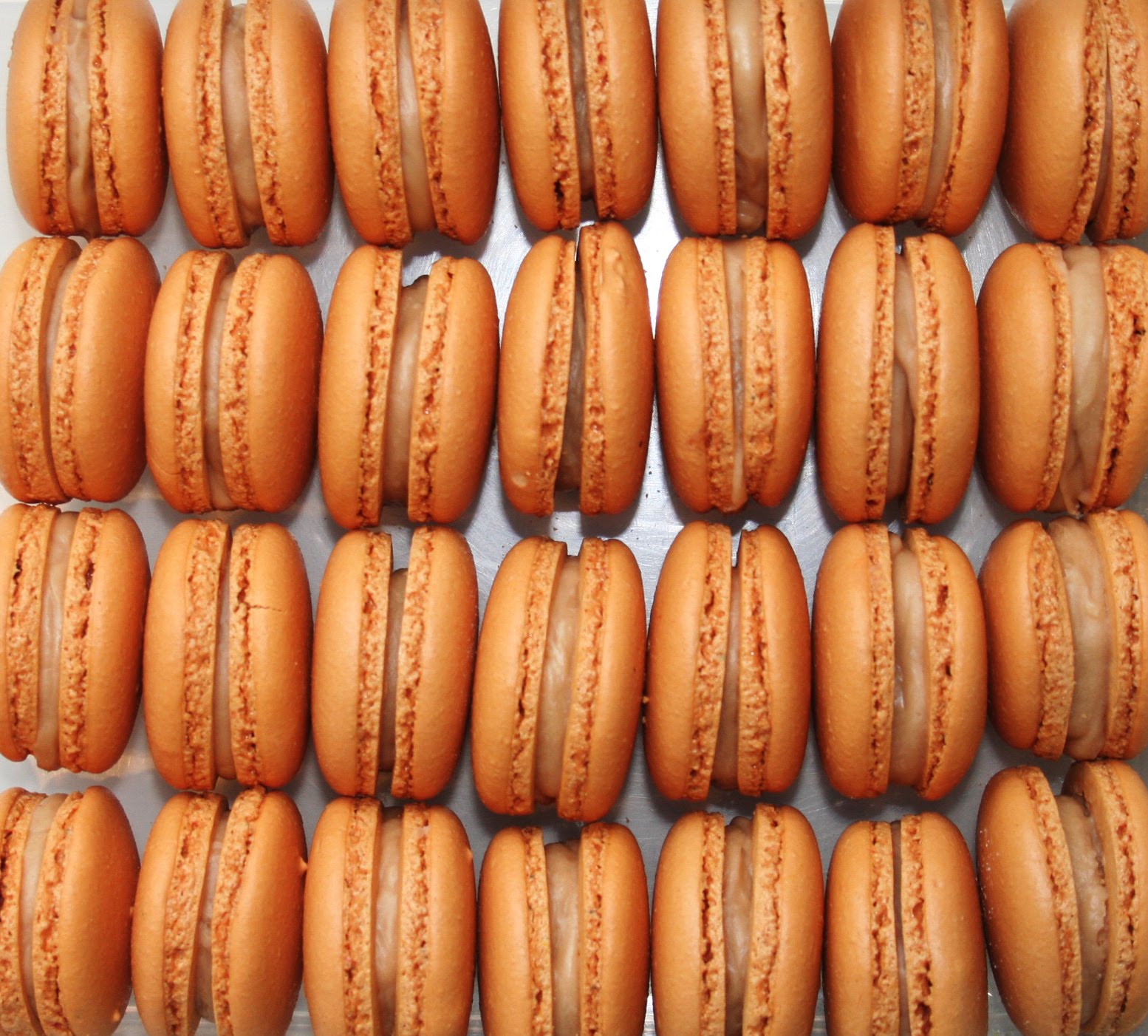 [macarons+100.jpg]