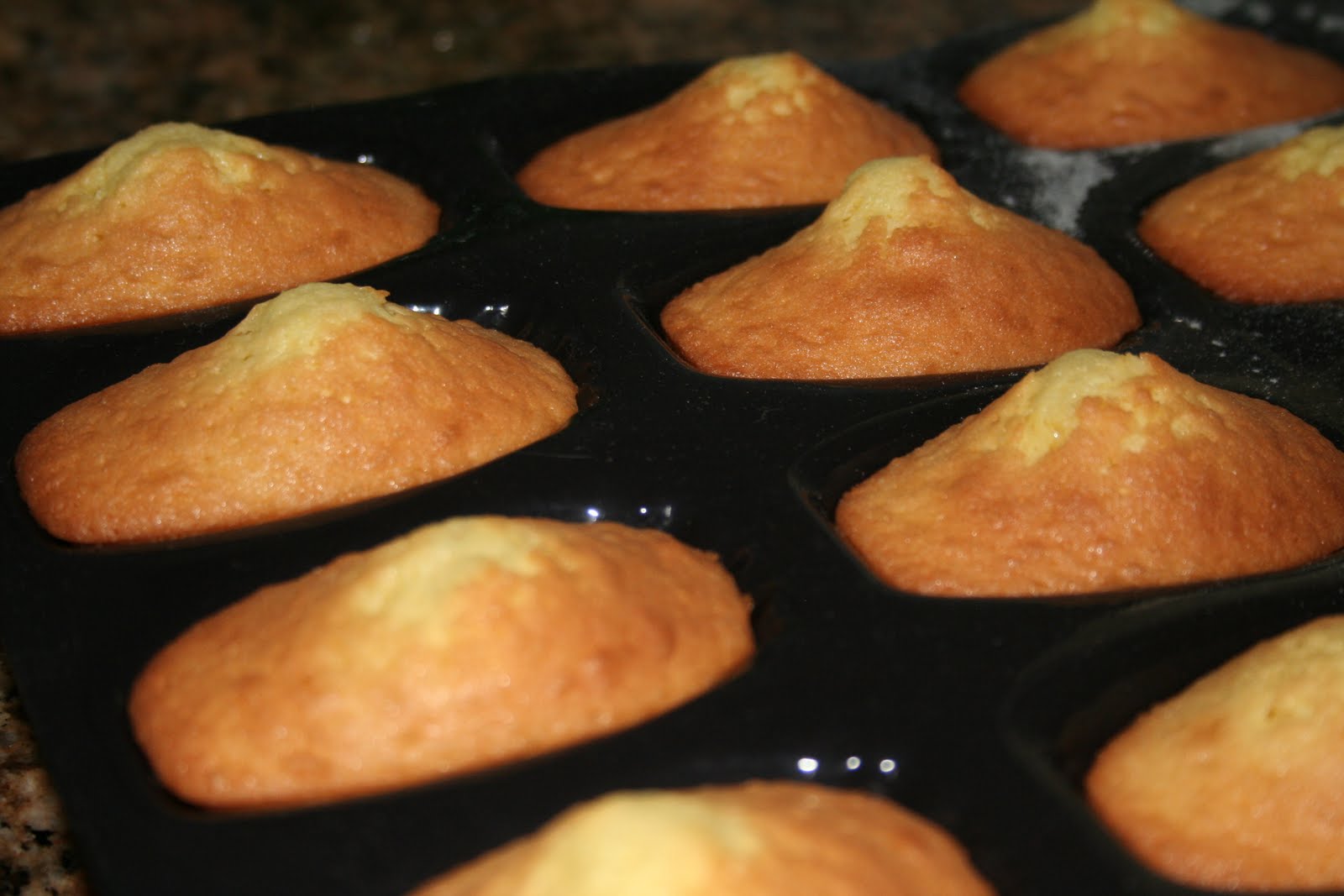 [Madeleines+022.jpg]