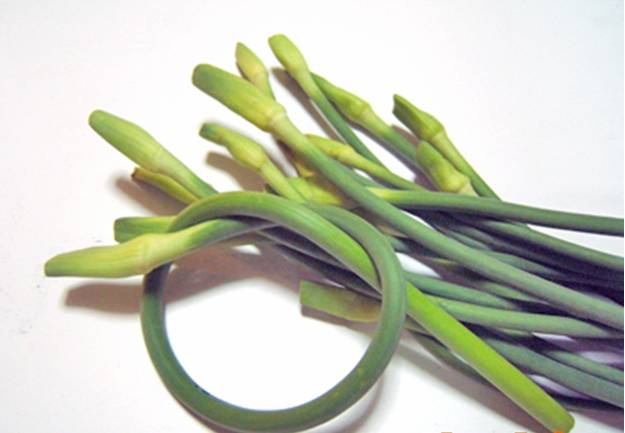 [garlic shoot.jpg]