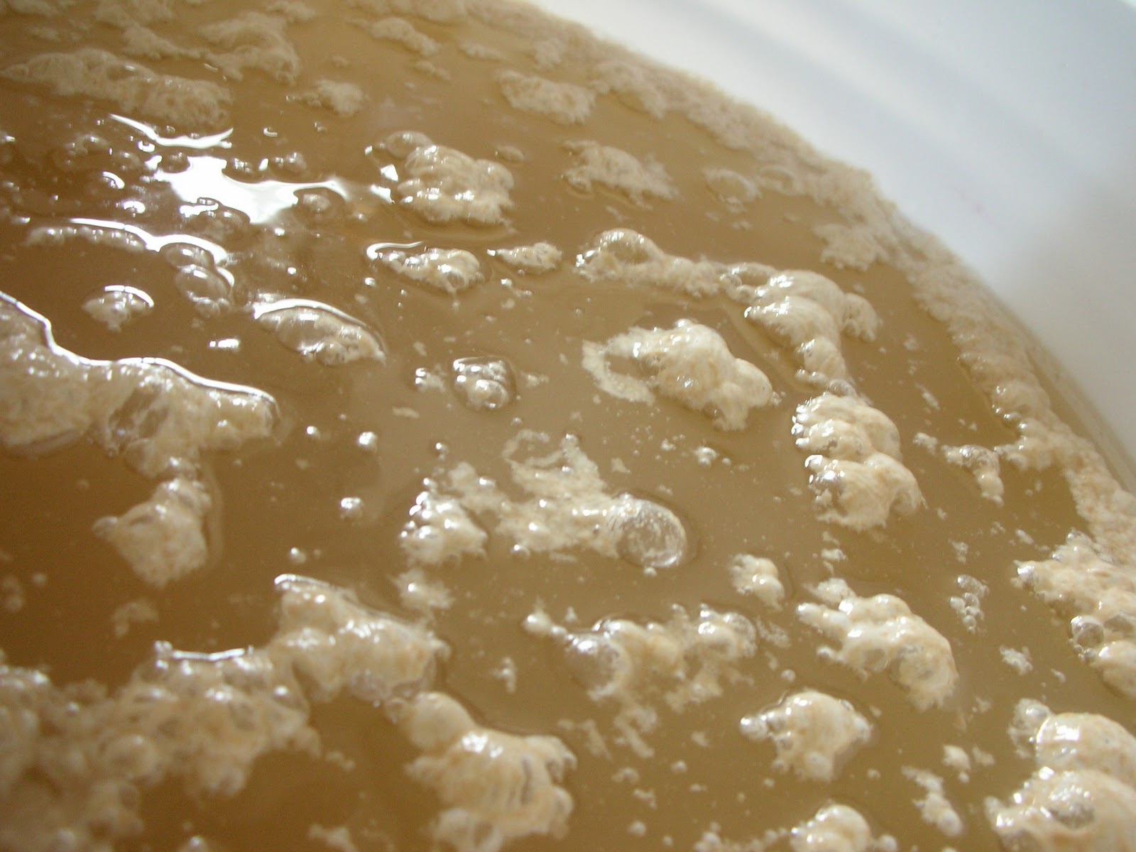 Wicked Tasty! White wine day 3 the day of Yeast!