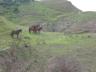 Horseback Riding Vilcabamba Ecuador