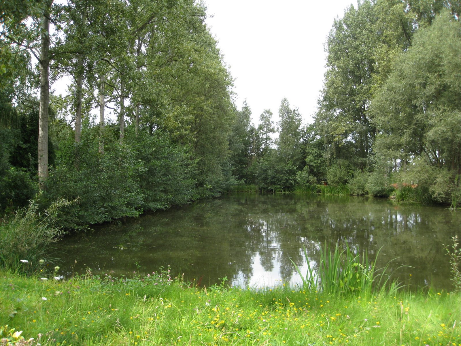 [IMG_2144.JPG]