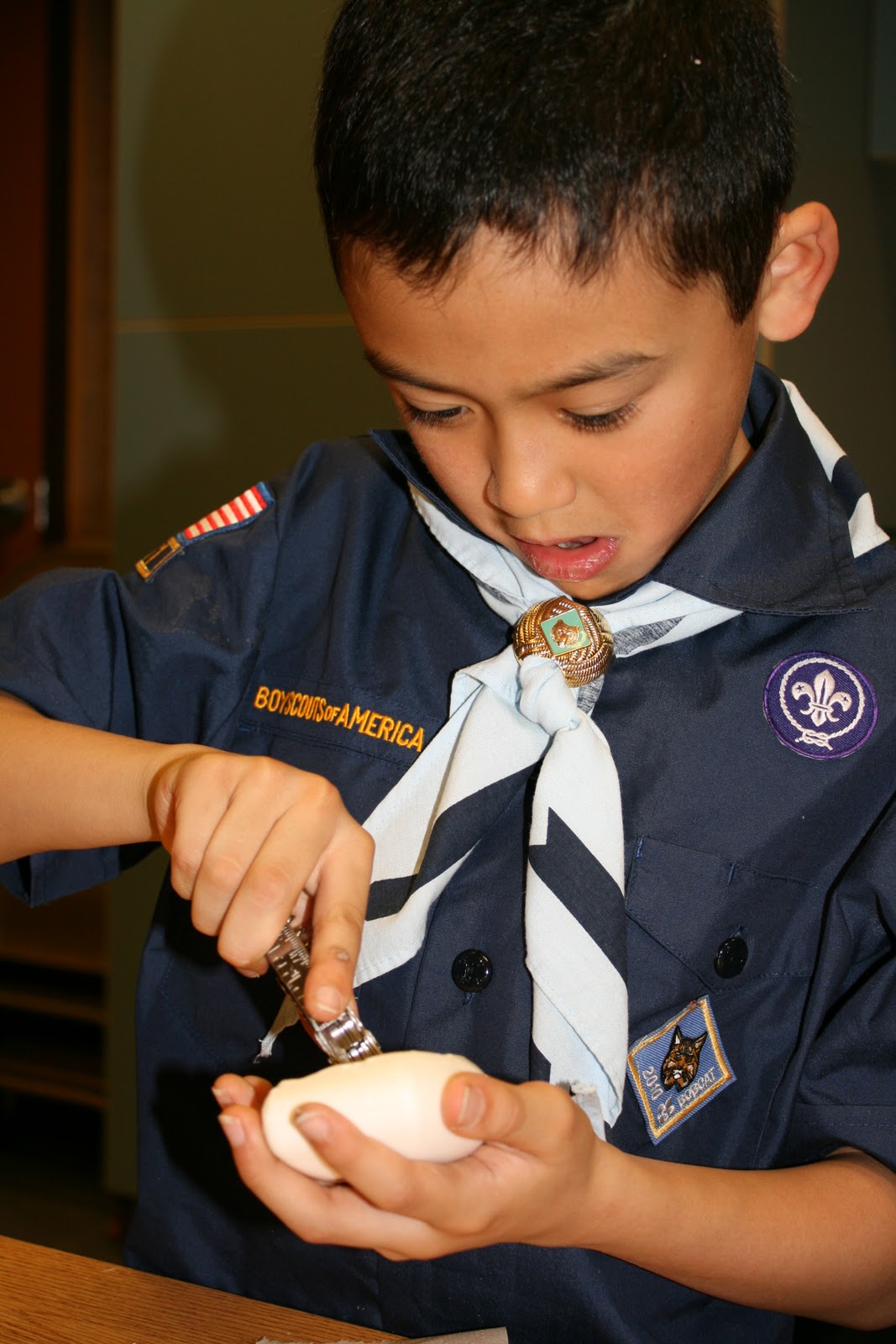 Cub Scouts Den 1/Pack 461 Earning the Whittling Chip
