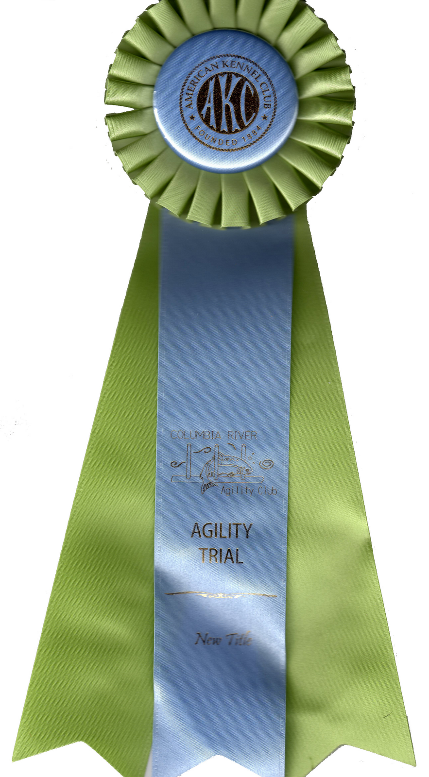 Danes Can Q Easter Weekend AKC Trial