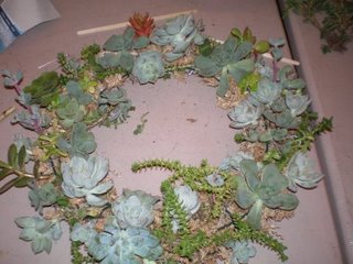 [Succulent+Wreath-Making+12-3-08+041.jpg]