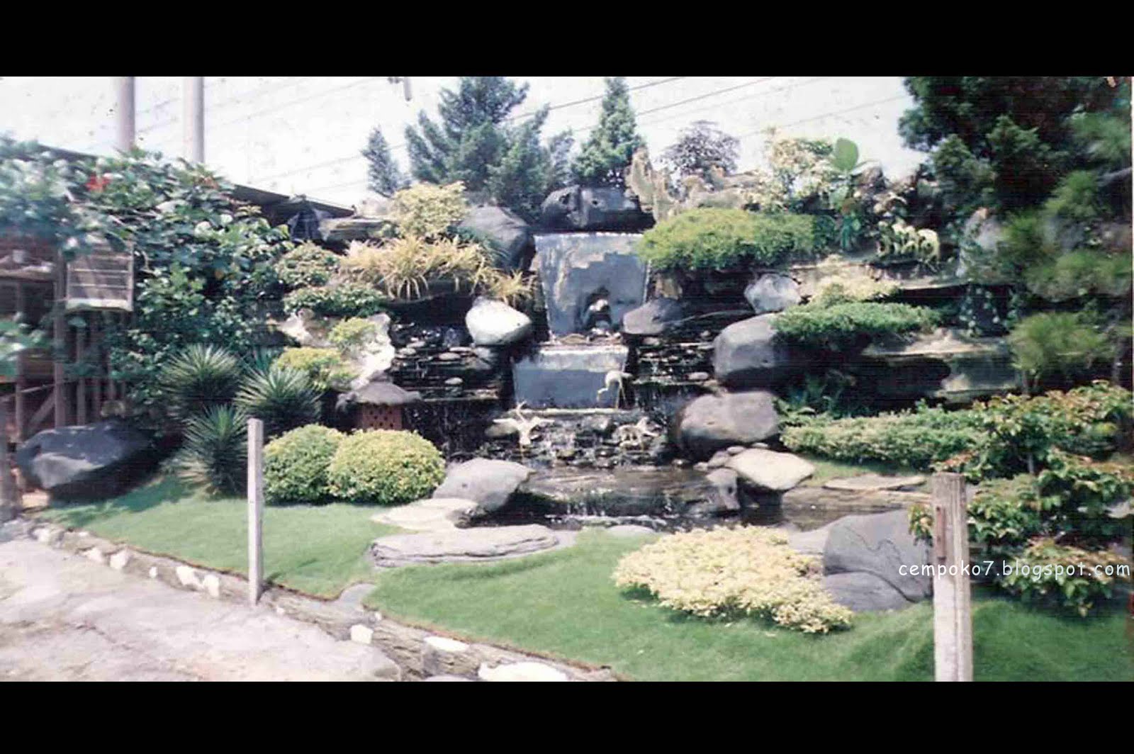 Tebing kolam air terjun