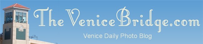 Venice Florida Daily Photo
