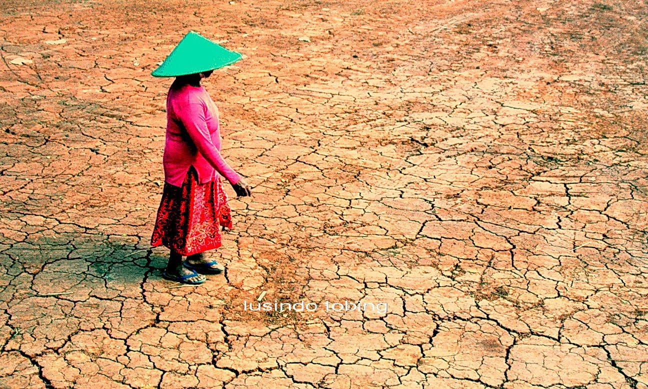 lusindo tobing: refleksi minggu kedua Juli 2010