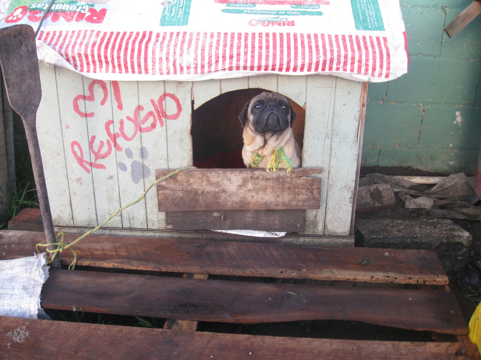 REFUGIO HUELLITAS LA CEJA