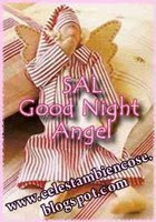 Sal del Angel de buenas noches