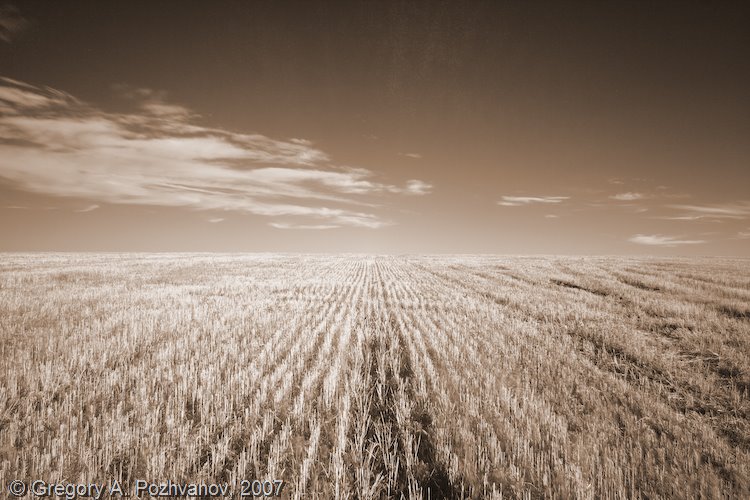 [gp_18195_bg.jpg]
