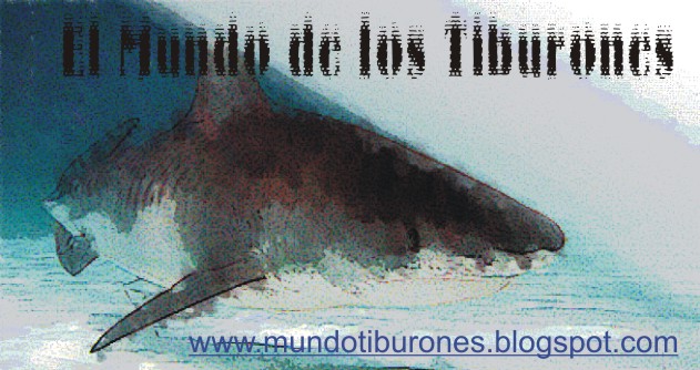 El Mundo de los Tiburones